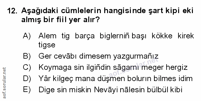 Soru 12