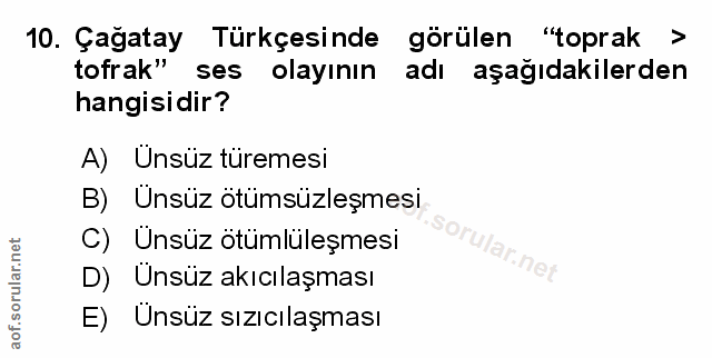 Soru 10