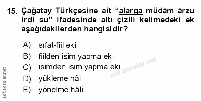 Soru 15
