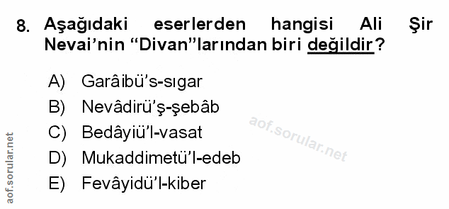 Soru 8