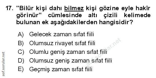Soru 17