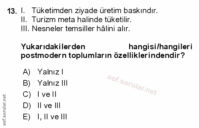 Soru 13