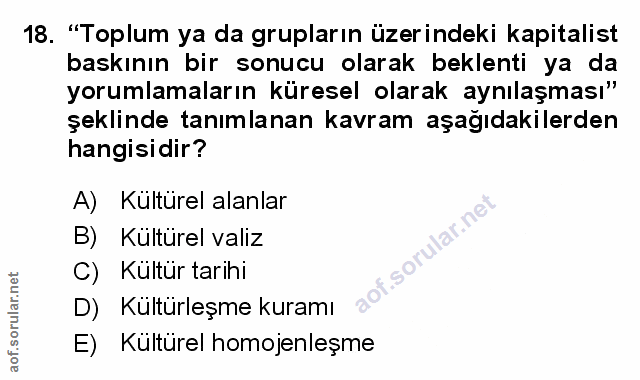 Soru 18