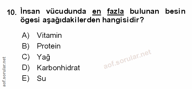 Soru 10