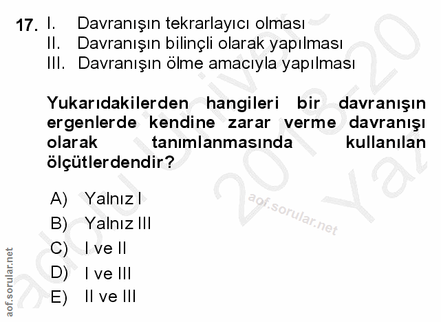 Soru 17