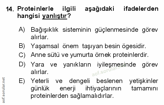 Soru 14