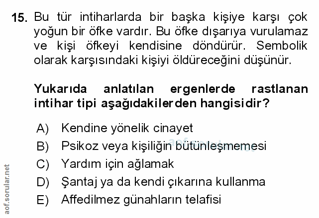 Soru 15