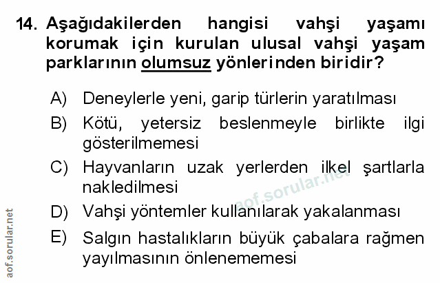 Soru 14