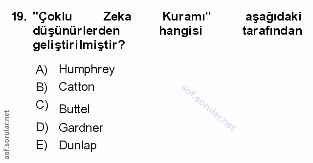 Soru 19