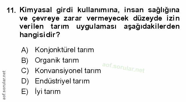 Soru 11