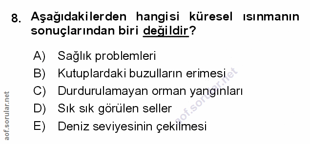 Soru 8
