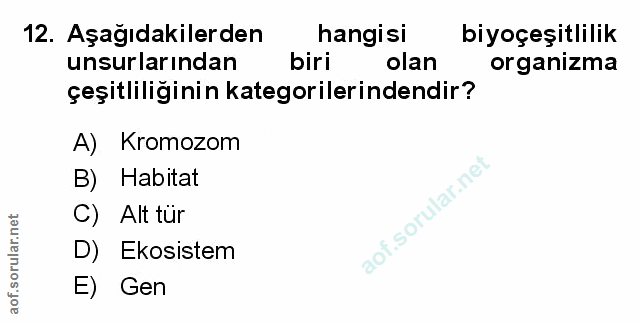 Soru 12