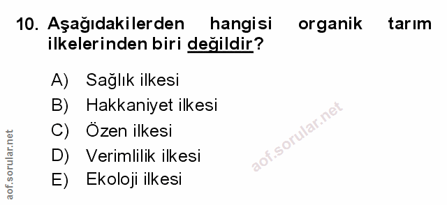 Soru 10