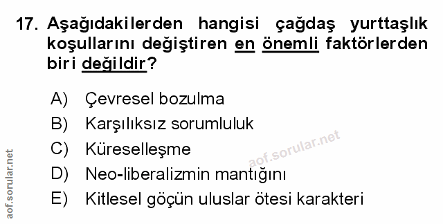 Soru 17