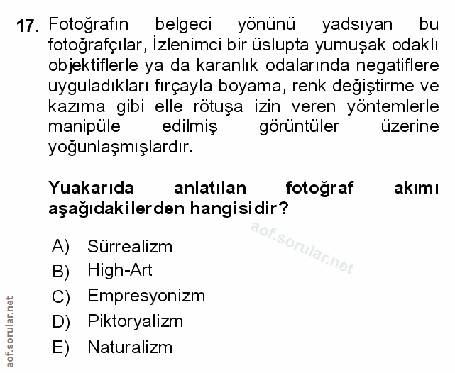Soru 17