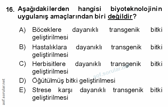 Soru 16