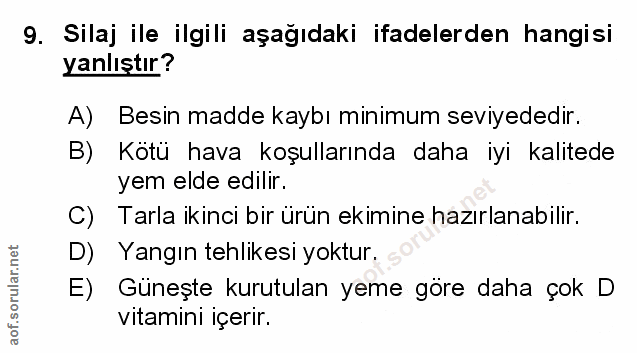 Soru 9
