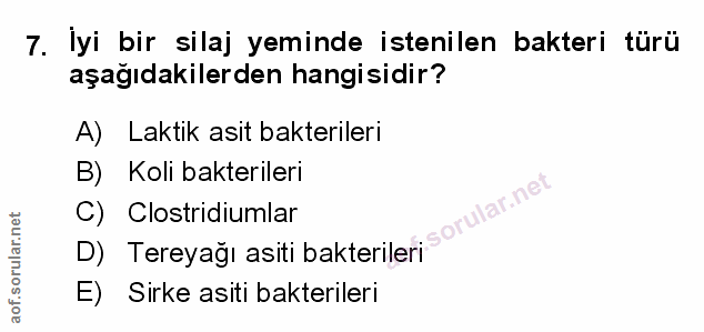 Soru 7