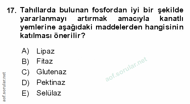 Soru 17