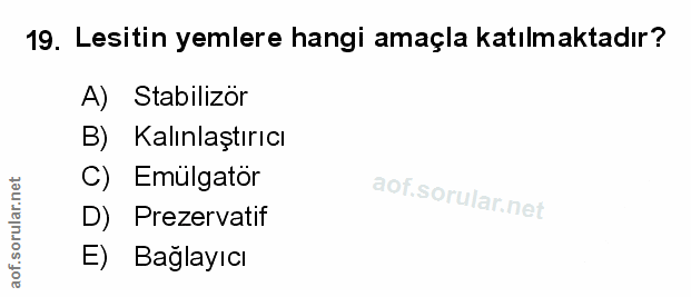 Soru 19