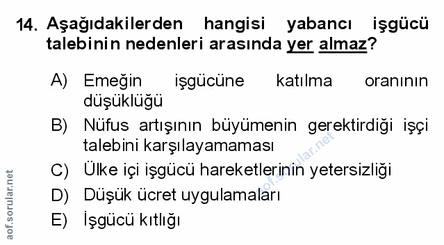 Soru 14