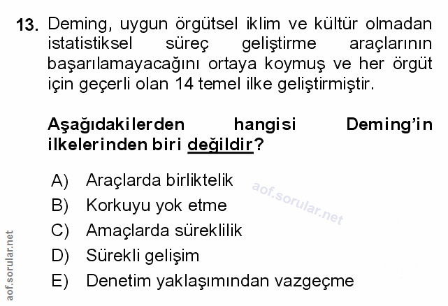 Soru 13