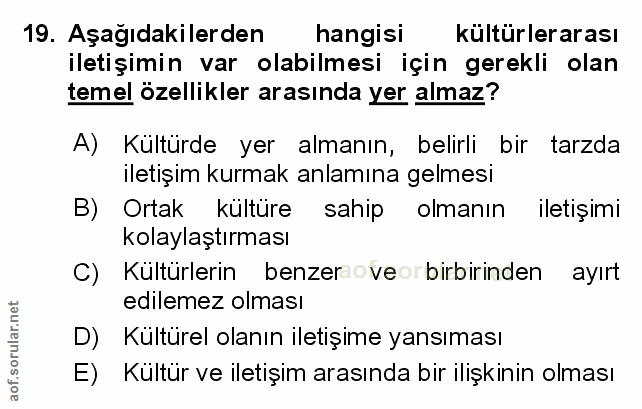 Soru 19