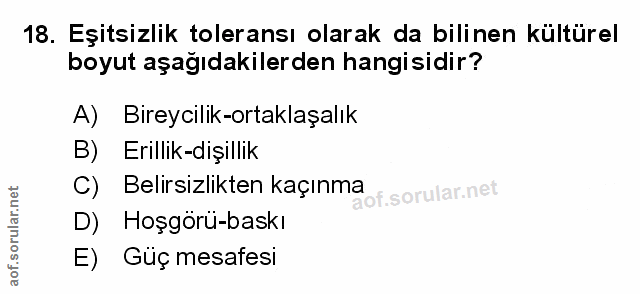 Soru 18
