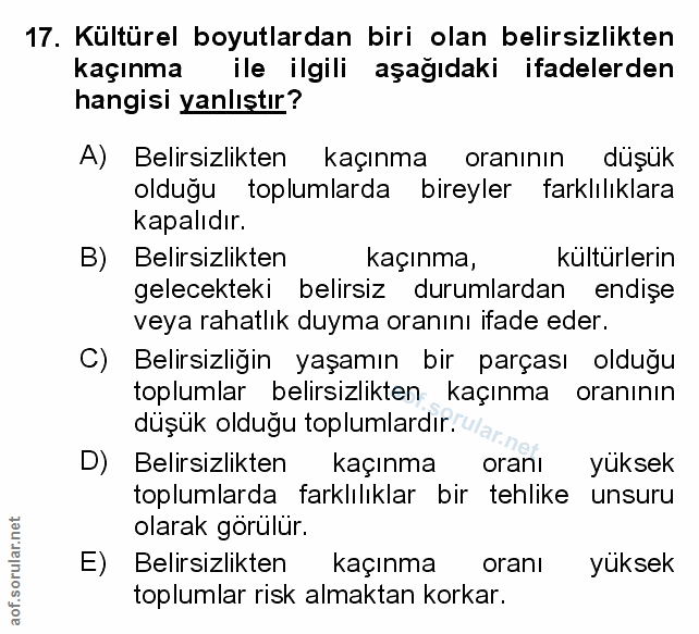 Soru 17