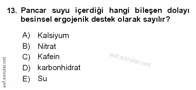 Soru 13