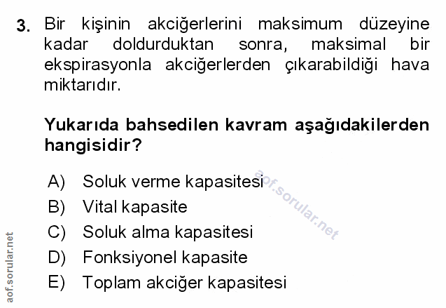 Soru 3