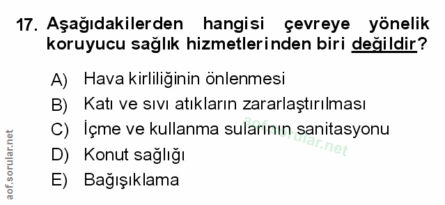 Soru 17