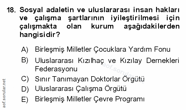 Soru 18