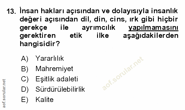 Soru 13