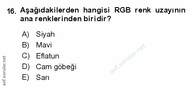 Soru 16