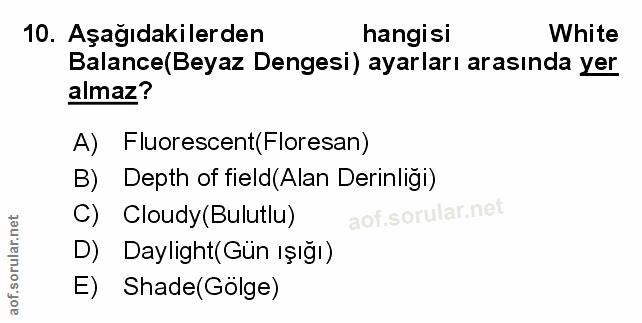 Soru 10