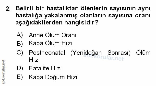 Soru 2