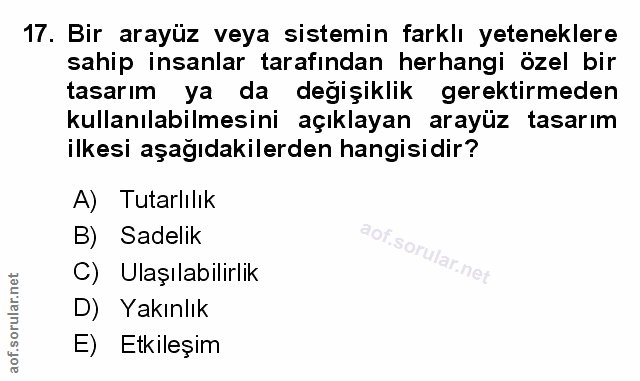 Soru 17