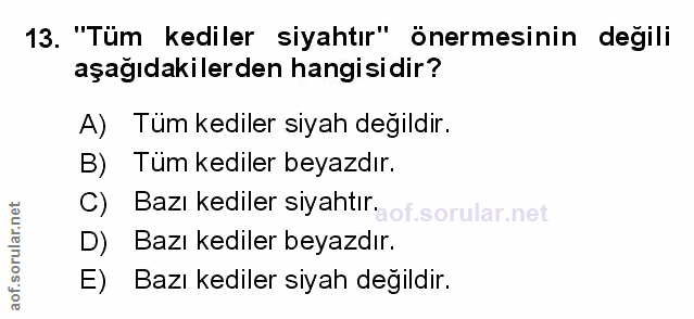 Soru 13