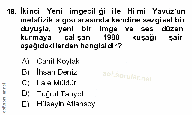 Soru 18