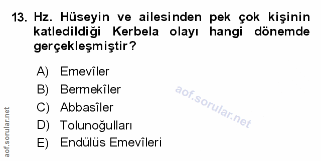 Soru 13