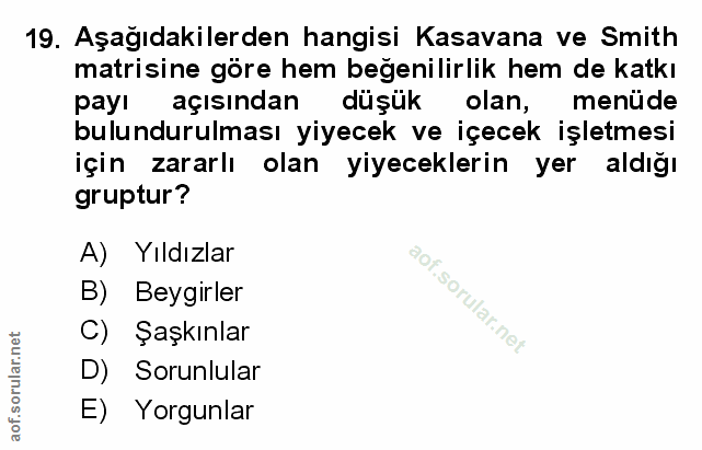Soru 19