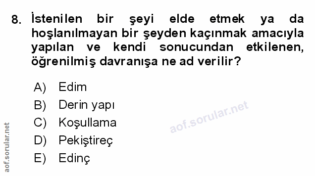 Soru 8