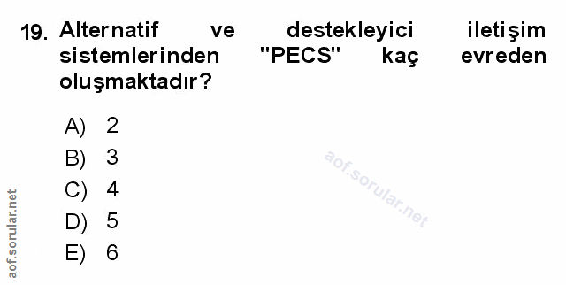 Soru 19