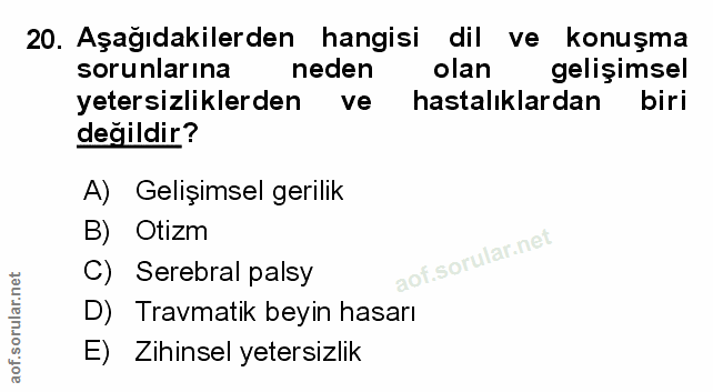 Soru 20