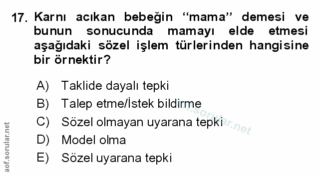 Soru 17