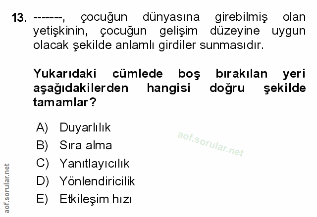 Soru 13