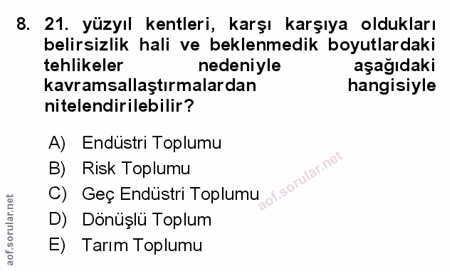 Soru 8