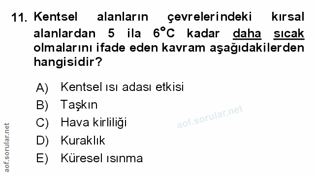 Soru 11