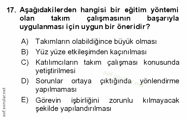 Soru 17